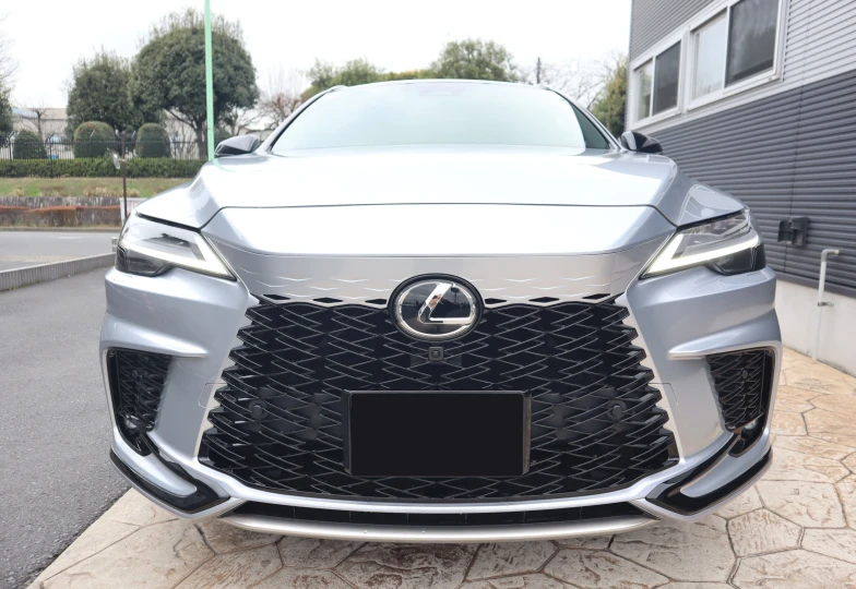 Lexus RX Серый