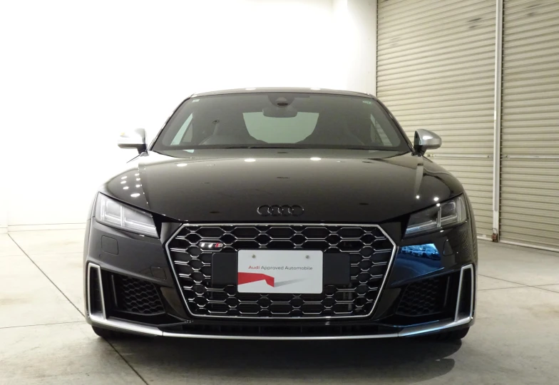 Audi TTS Memorial Edition, 2023 - 0