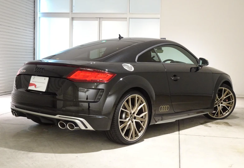 Audi TTS Memorial Edition, 2023 - 5