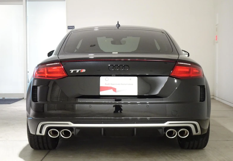 Audi TTS Memorial Edition, 2023 - 6