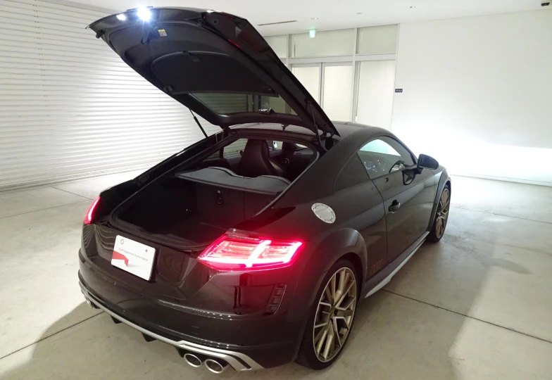 Audi TTS Memorial Edition, 2023 - 8
