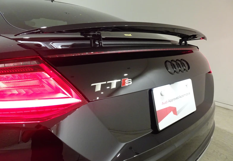 Audi TTS Memorial Edition, 2023 - 34