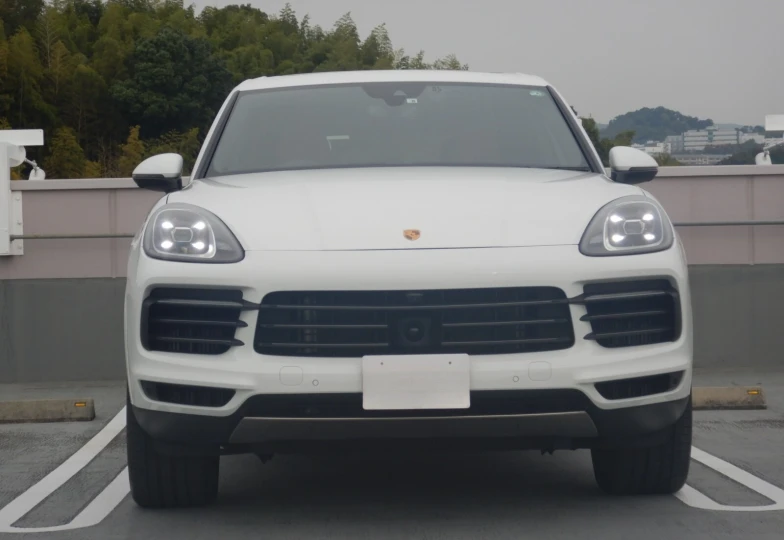 Porsche Cayenne Platinum Edition Tiptronic S, 2022 - 6