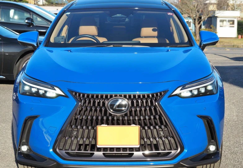 Lexus NX 350h Version L, 2023 - 5