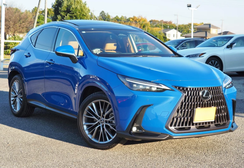 Lexus NX 350h Version L, 2023 - 6