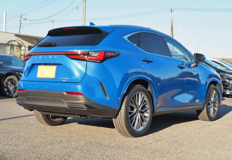 Lexus NX 350h Version L, 2023 - 8