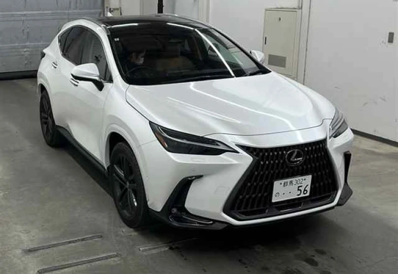 Lexus NX 350h Version L, 2024 - 0