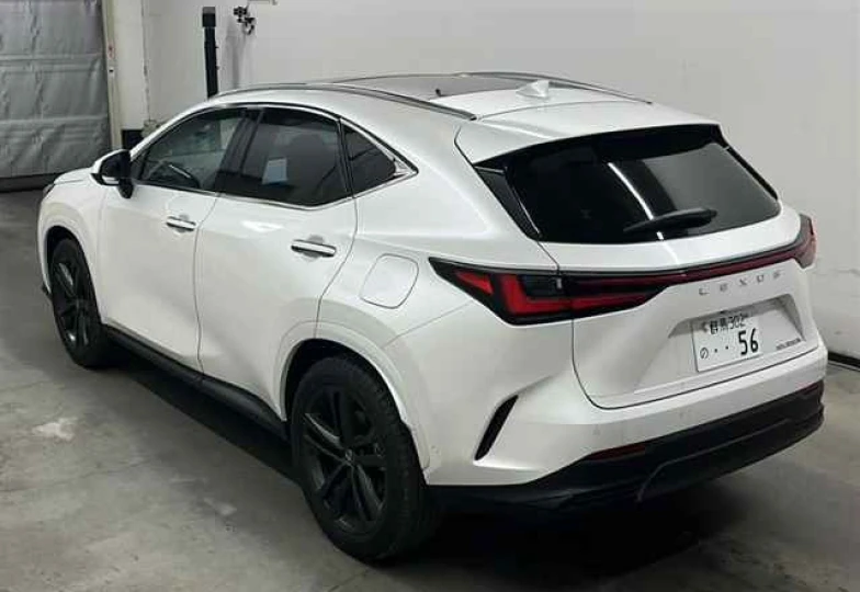 Lexus NX 350h Version L, 2024 - 3