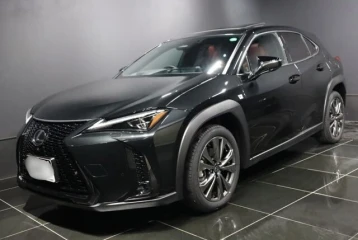 Lexus UX 300h, 2024