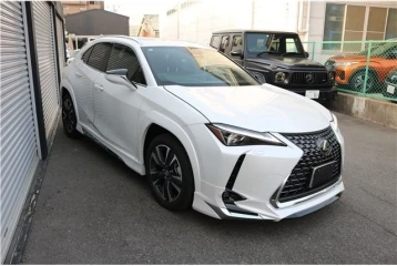 Lexus UX 300h, 2024