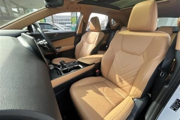 Lexus NX 350h Version L, 2024