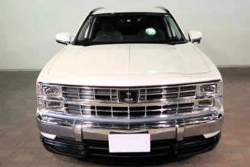 Mitsuoka Buddy 20ST, 2022