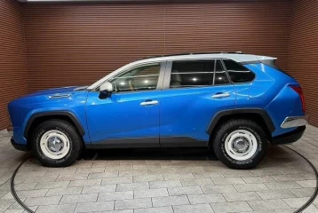 Mitsuoka Buddy 20ST, 2023