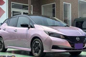 Nissan Leaf X Smart Key, 2022