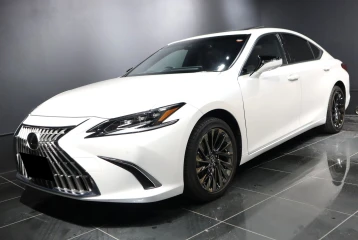 Lexus ES ES300h Graceful Escort, 2023