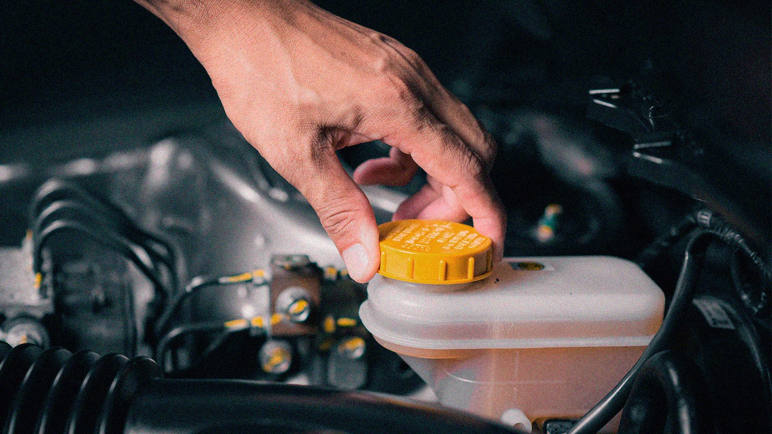 Checking the brake fluid level